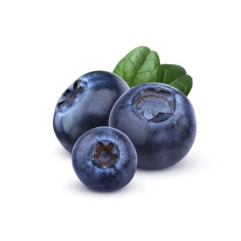 Dried Blueberry