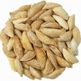 Sitar Bai Almond