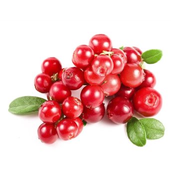 Dried Cranberry