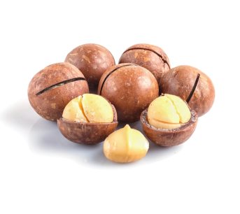 Macadamia Nuts