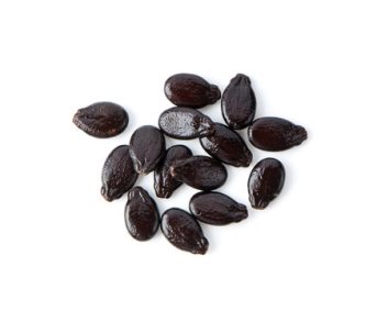 Watermelon Seeds